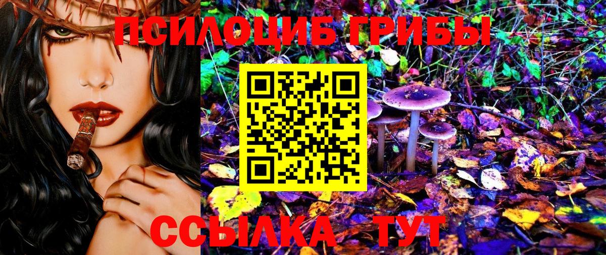 Галлюциногенные грибы мицелий Сертолово