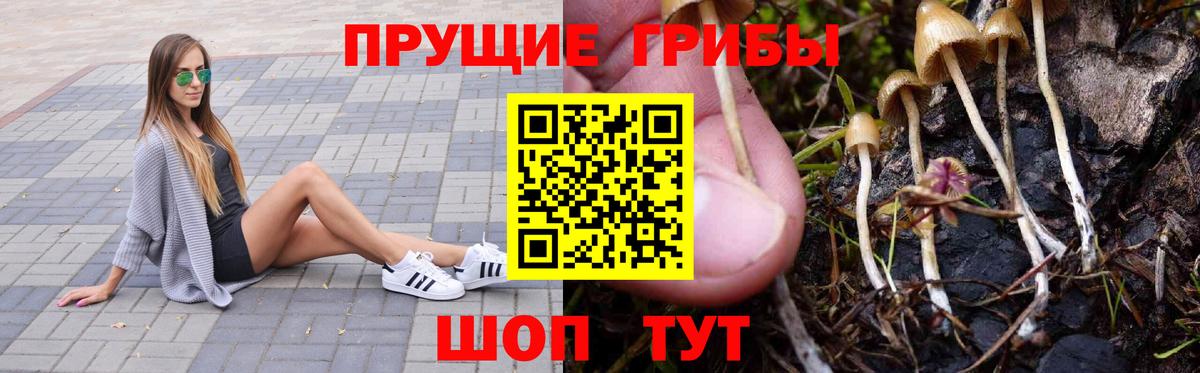 Псилоцибиновые грибы мухоморы  Вход с VPN  Сертолово 